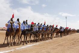 Image du Maroc Professionnelle de  Des hommes du désert s’apprêtent à une course de chameaux organisé dans un site désertique sur lequel la ville de Tan Tan a toujours accueilli la majorité des tribus et des grandes familles nomades du désert lors d'un grand Moussem, Samedi 7 Septembre 2013. Le festival parrainé par l'UNESCO rassemble des milliers de nomades du Maroc. (Photo / Abdeljalil Bounhar) 